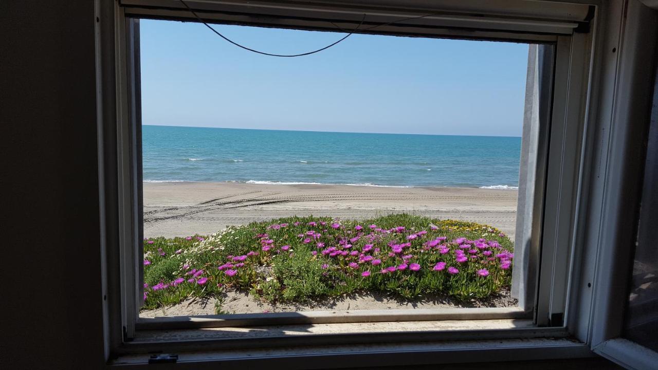 Апартаменти Casina Sulla Sabbia Торваяніка Екстер'єр фото